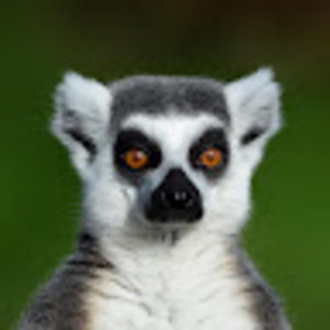 Meet your Posher, Eleanor